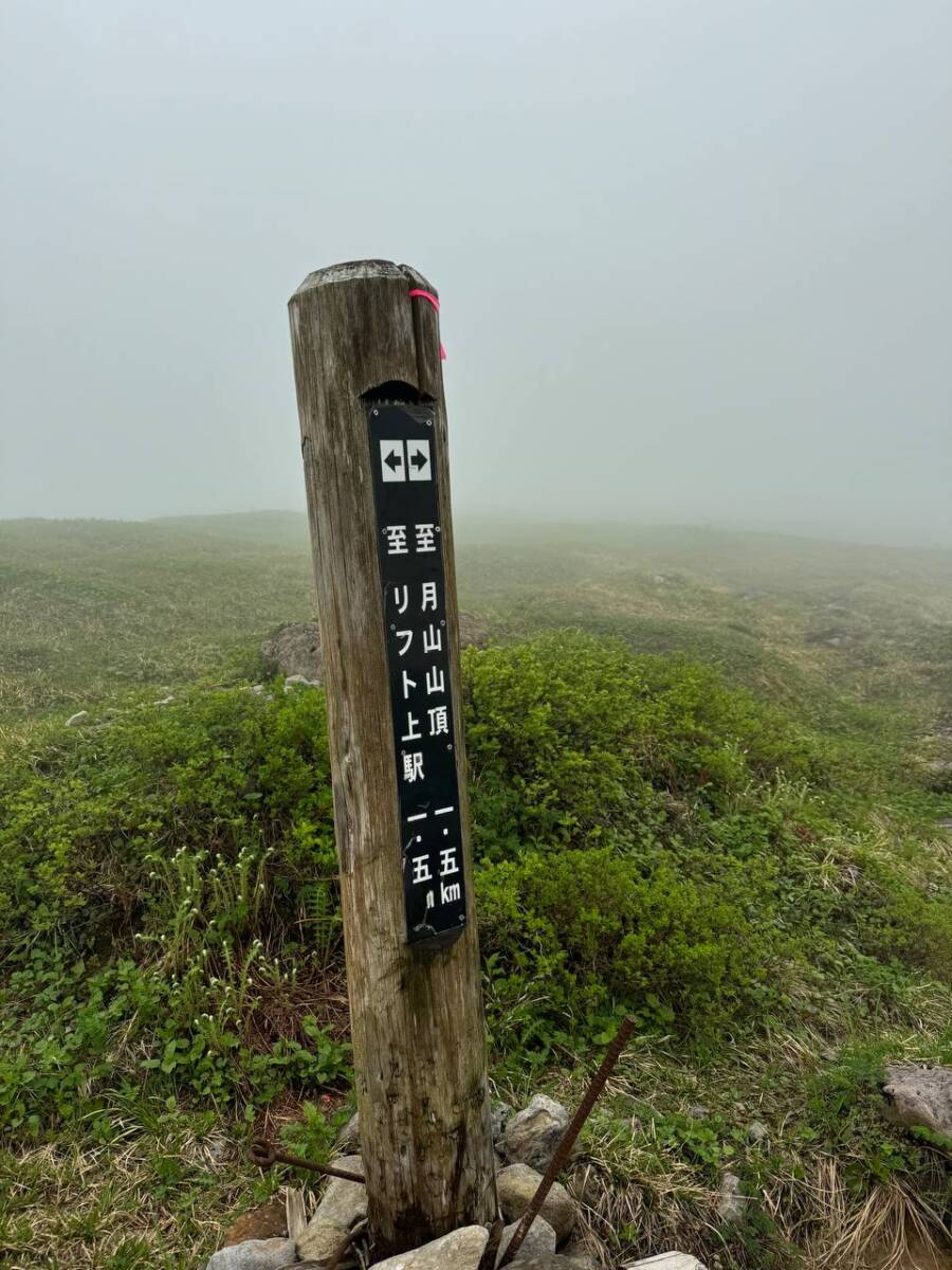 【登山日記】日本百名山「月山」雪渓や花がたくさん見れた美しい世界