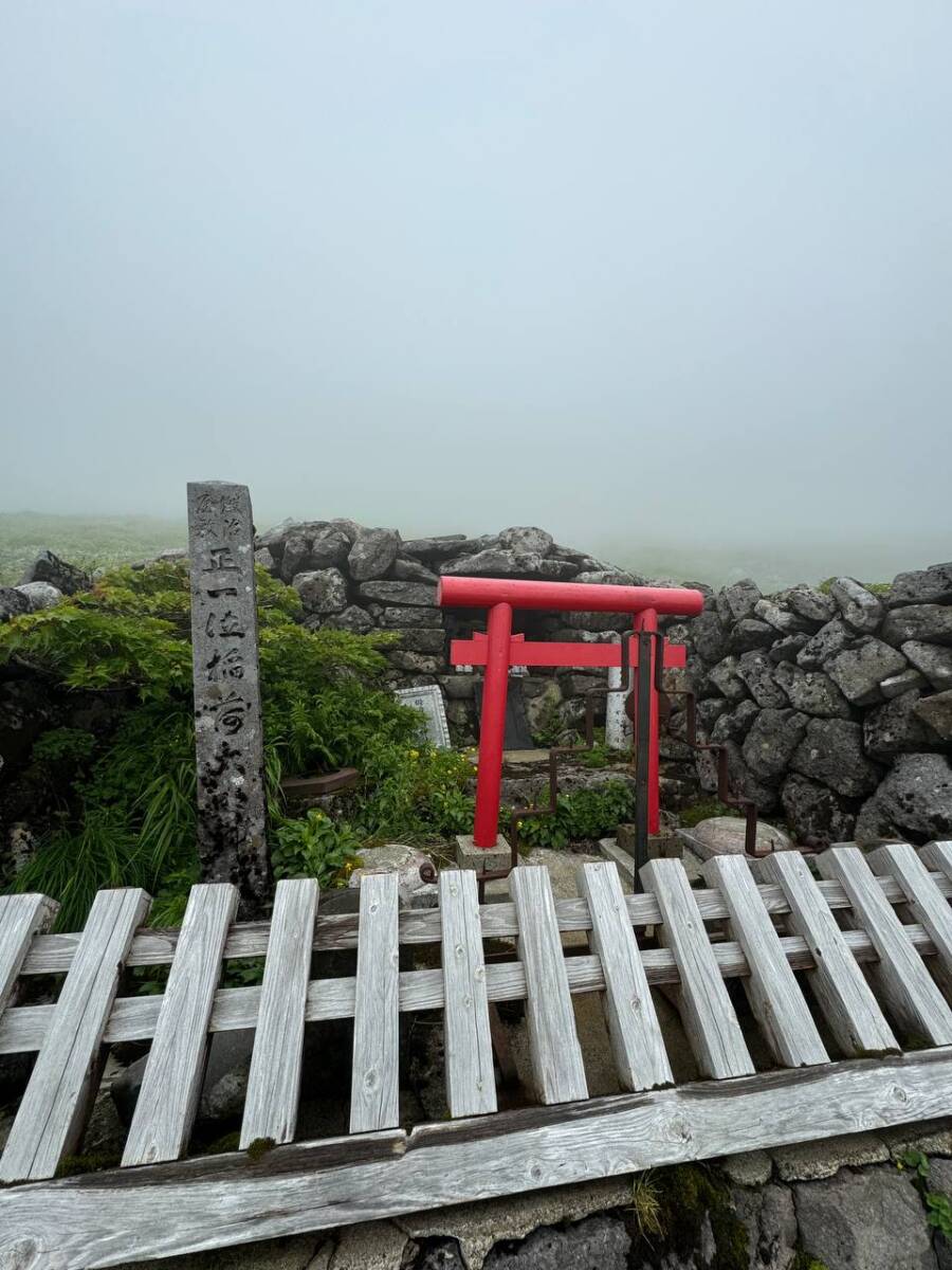 【登山日記】日本百名山「月山」雪渓や花がたくさん見れた美しい世界