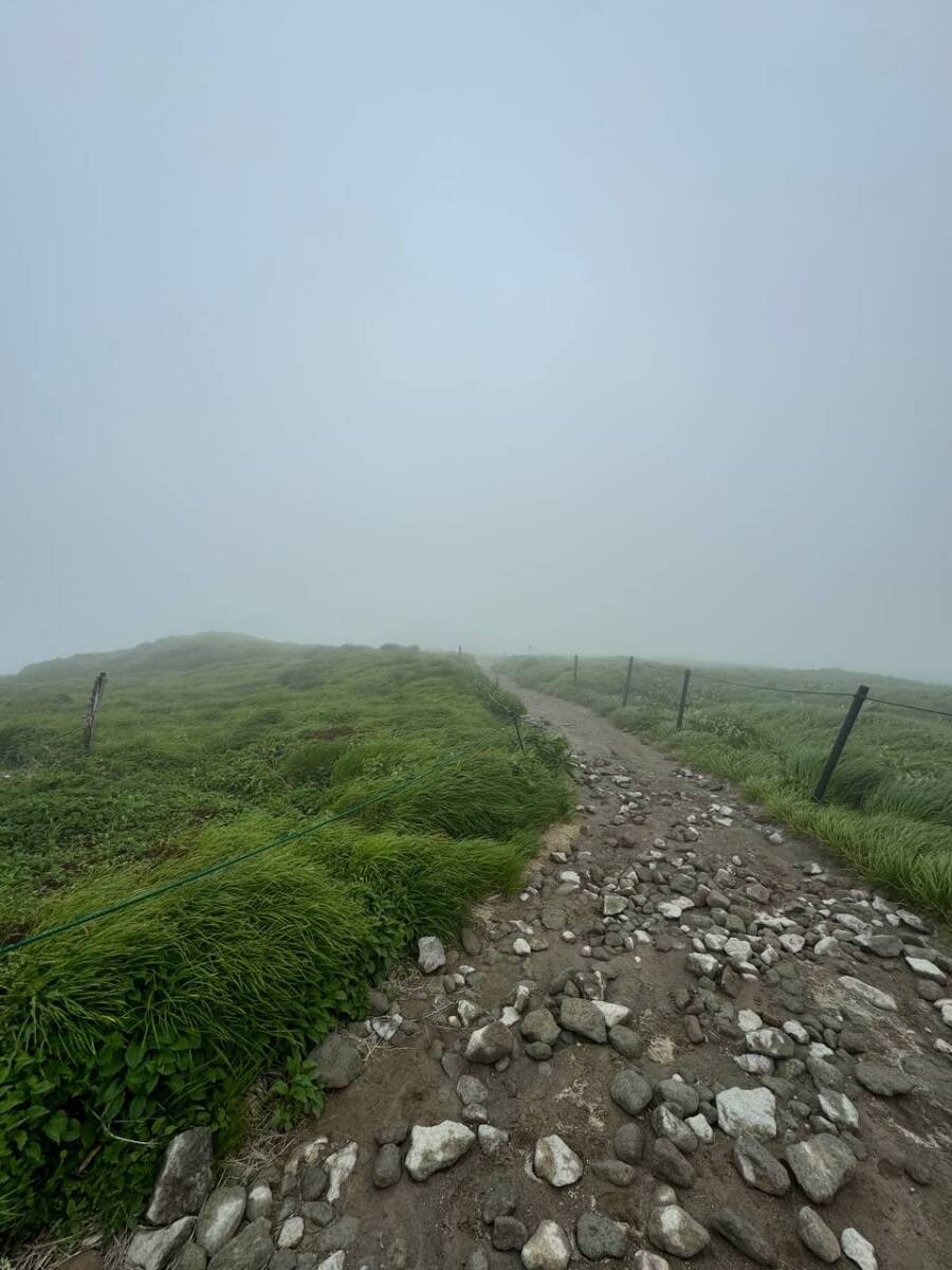 【登山日記】日本百名山「月山」雪渓や花がたくさん見れた美しい世界