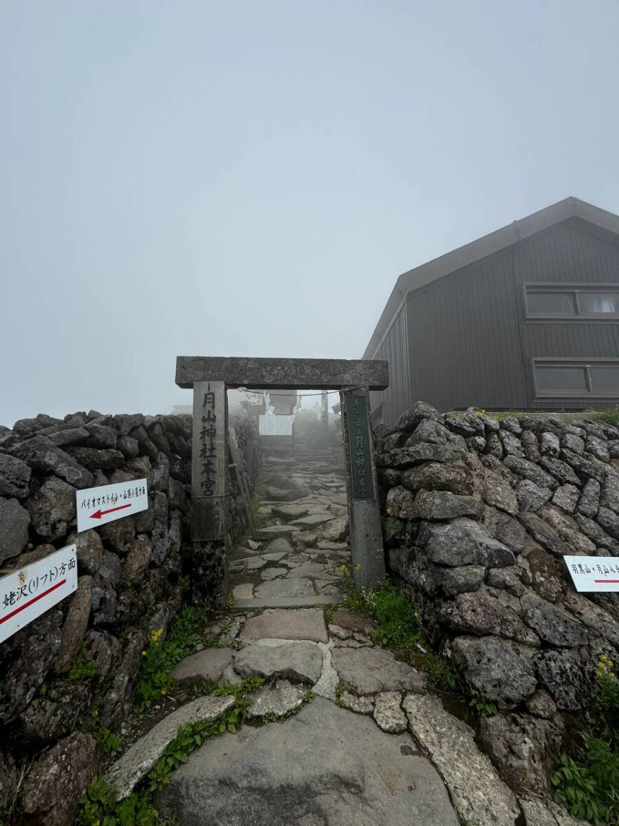 【登山日記】日本百名山「月山」雪渓や花がたくさん見れた美しい世界