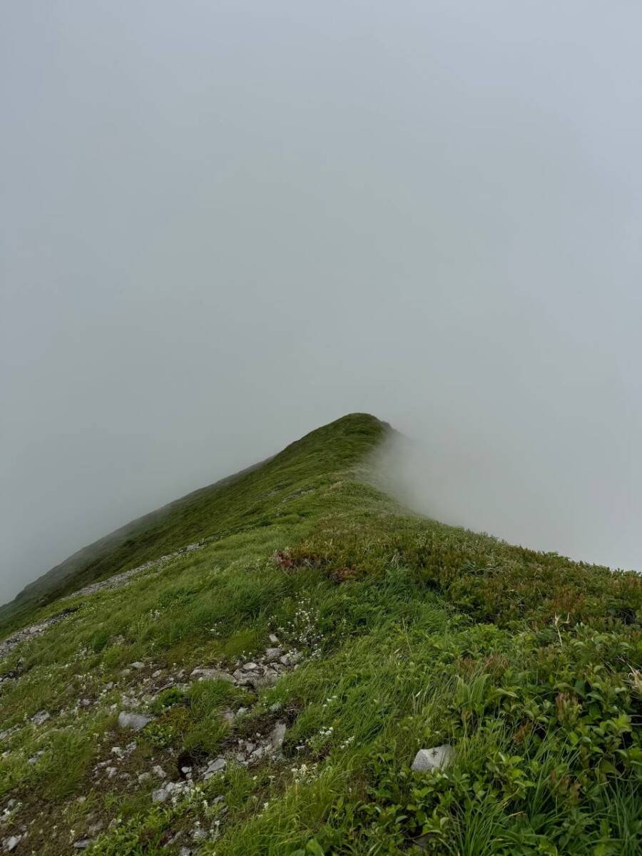 【登山日記】日本百名山「月山」雪渓や花がたくさん見れた美しい世界