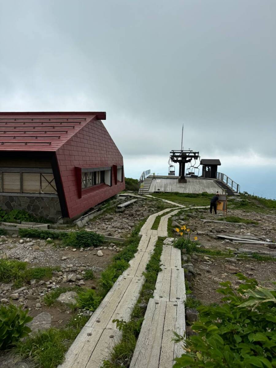 【登山日記】日本百名山「月山」雪渓や花がたくさん見れた美しい世界