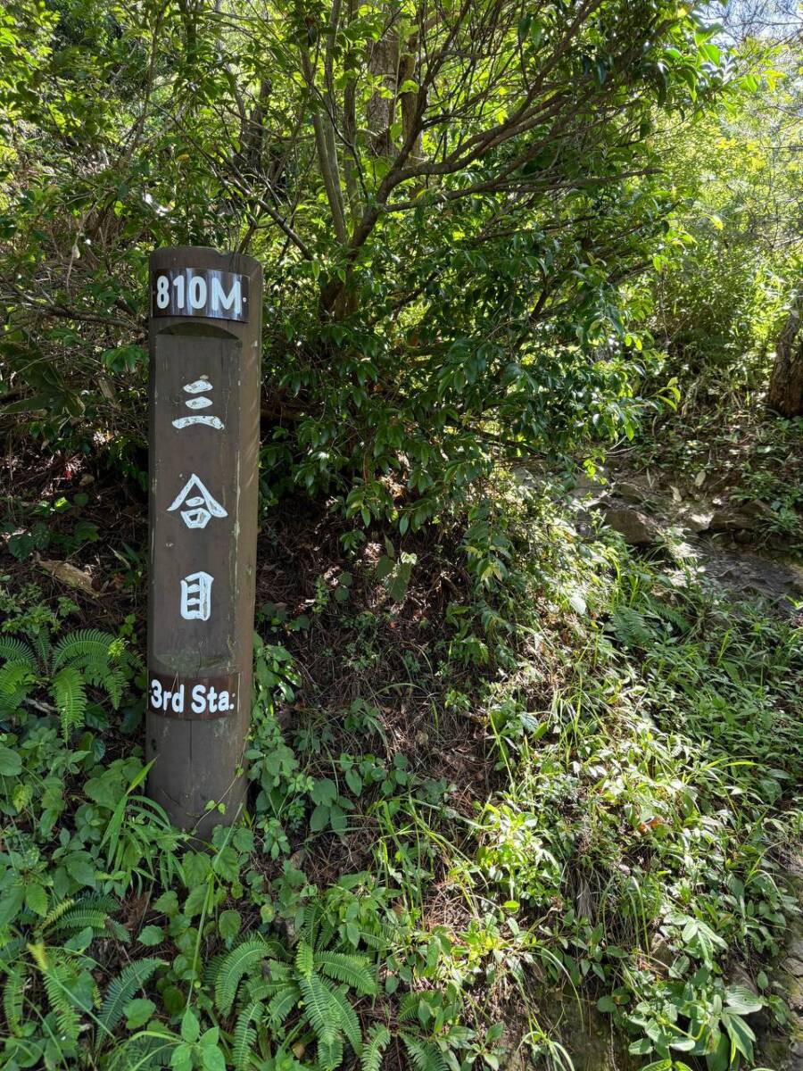 日本二百名山「蒜山」蒜山高原にそびえる3つの山「蒜山三座」