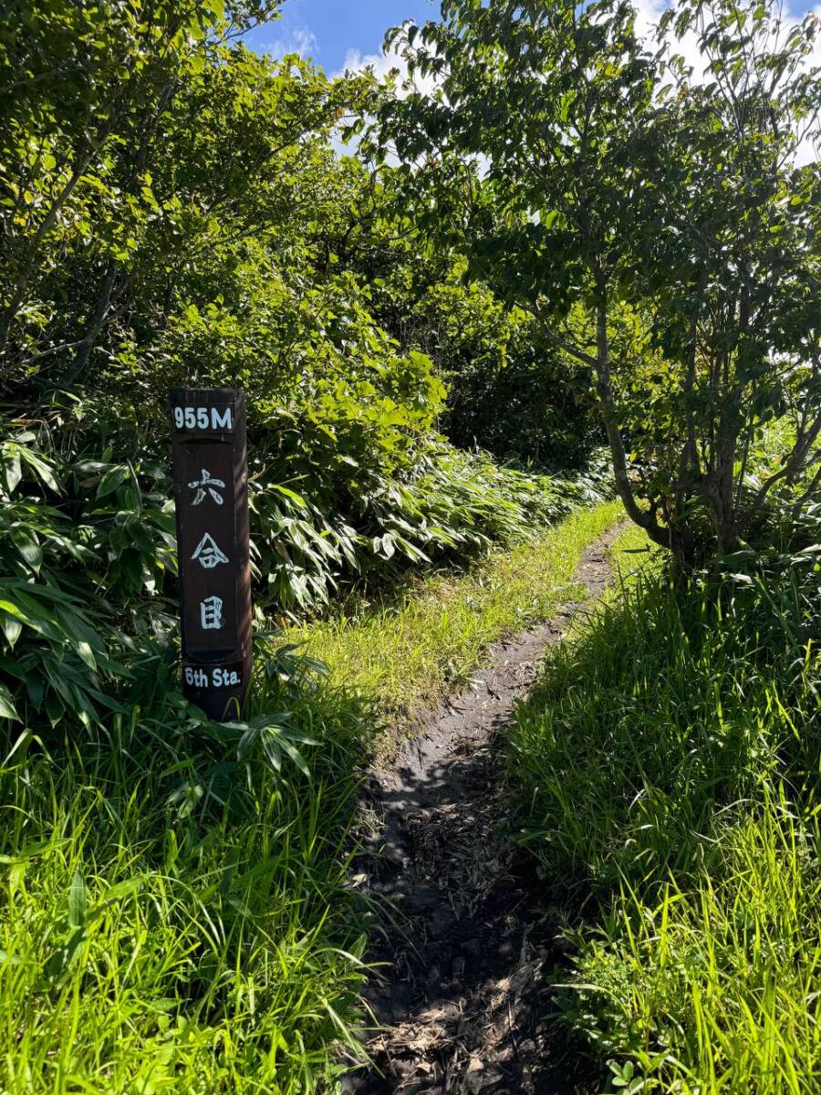 日本二百名山「蒜山」蒜山高原にそびえる3つの山「蒜山三座」