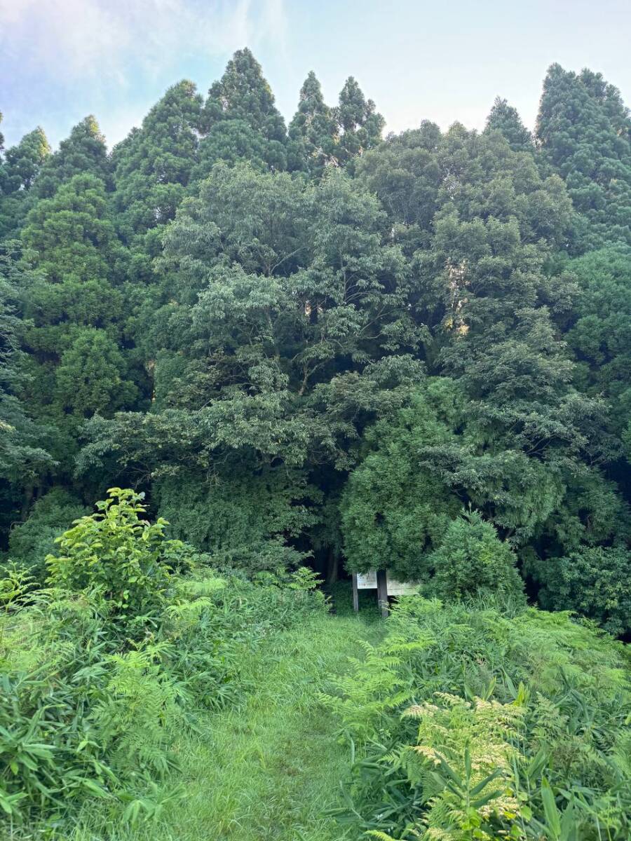 日本二百名山「蒜山」蒜山高原にそびえる3つの山「蒜山三座」