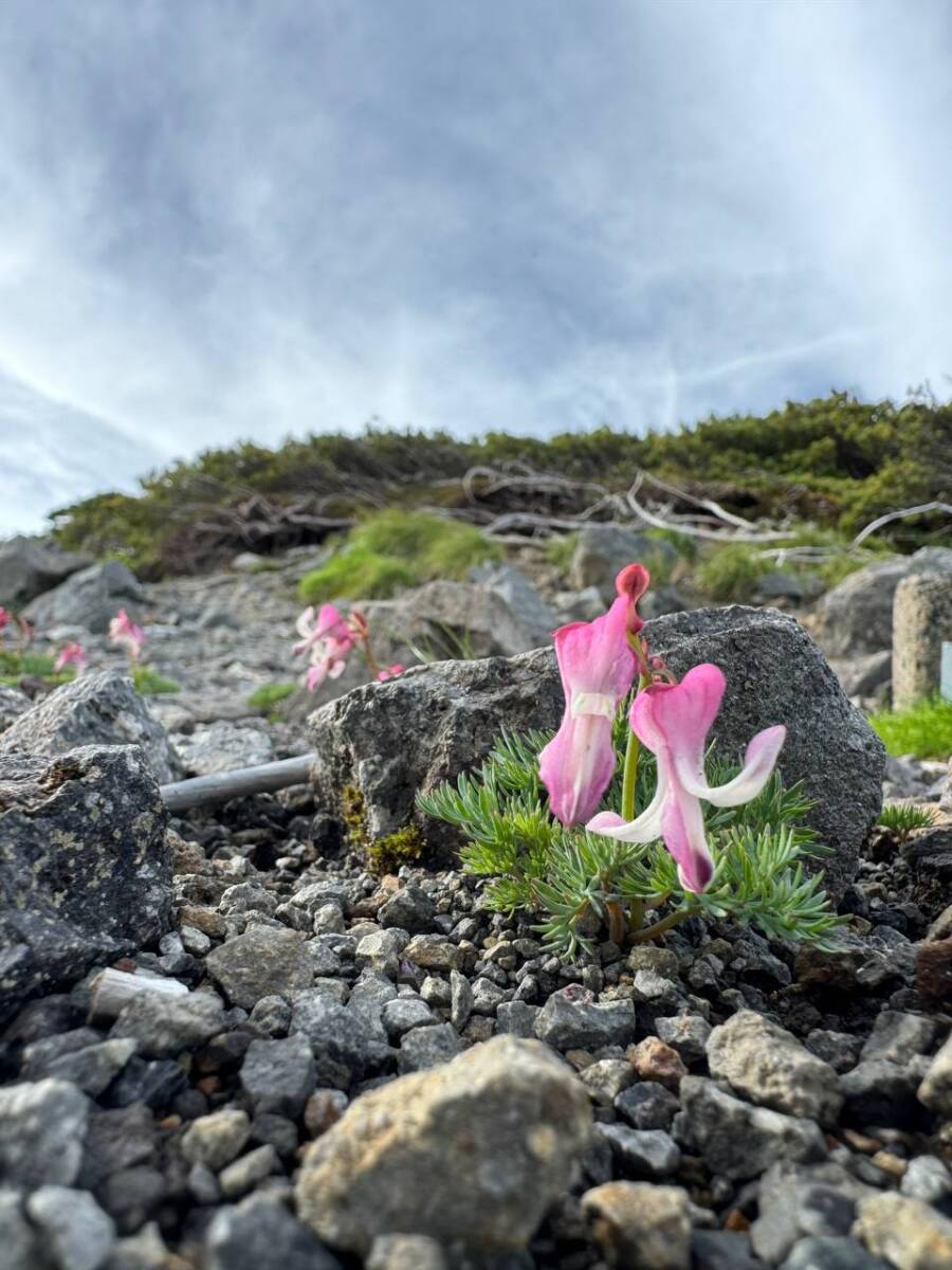 日本百名山「乗鞍岳」お手軽3000m登山できる山。アクセス方法も