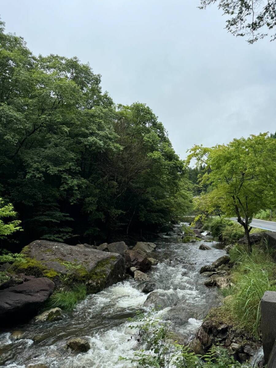 【登山日記】大阪北摂最高峰の深山。川も山も楽しめるハイキングコース。