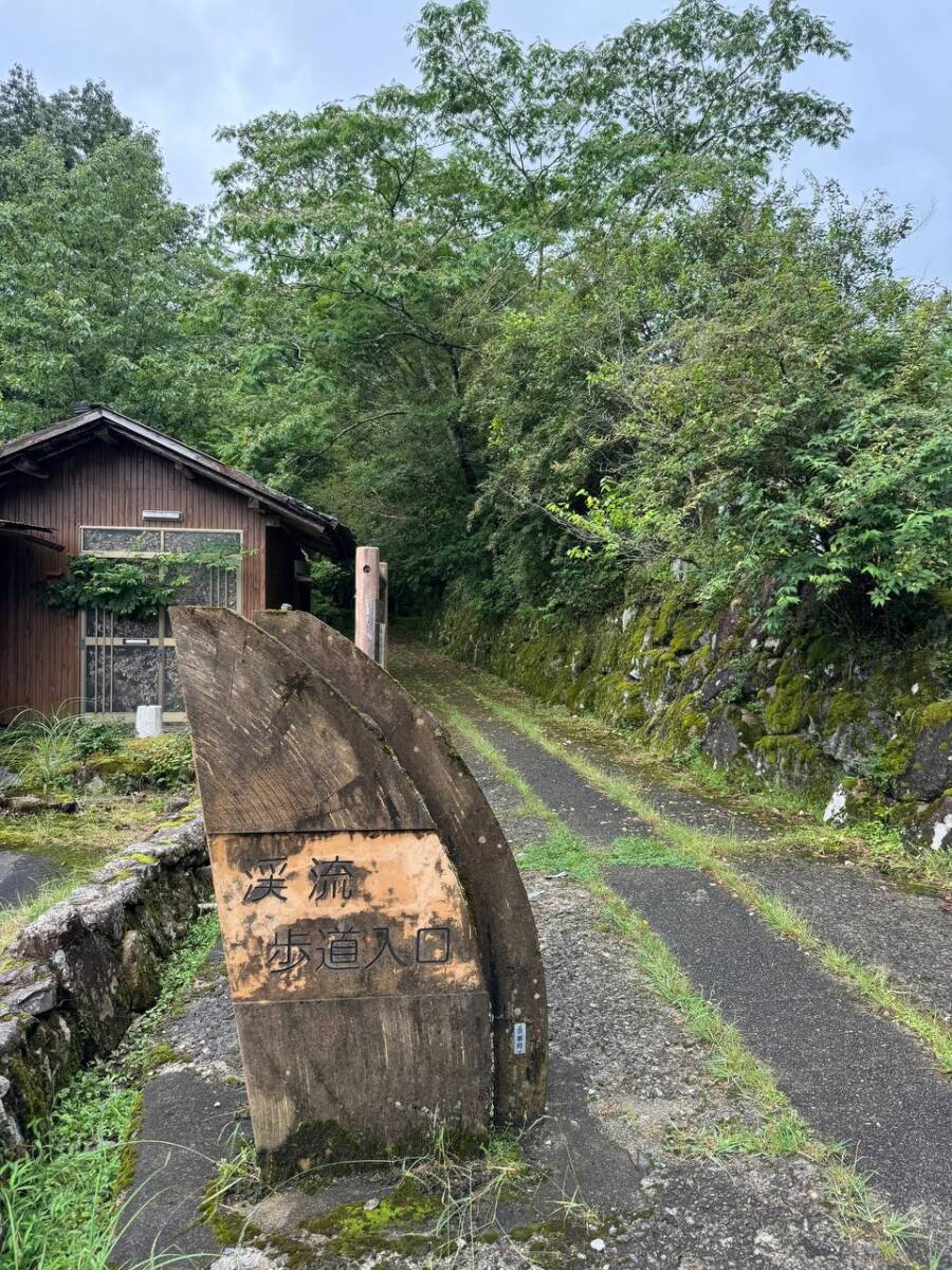 【登山日記】大阪北摂最高峰の深山。川も山も楽しめるハイキングコース。