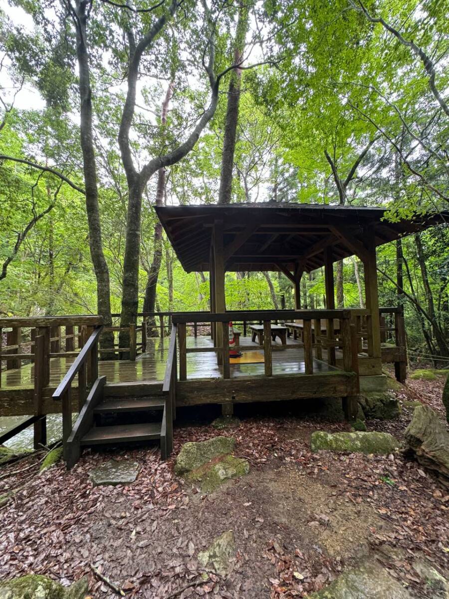 【登山日記】大阪北摂最高峰の深山。川も山も楽しめるハイキングコース。