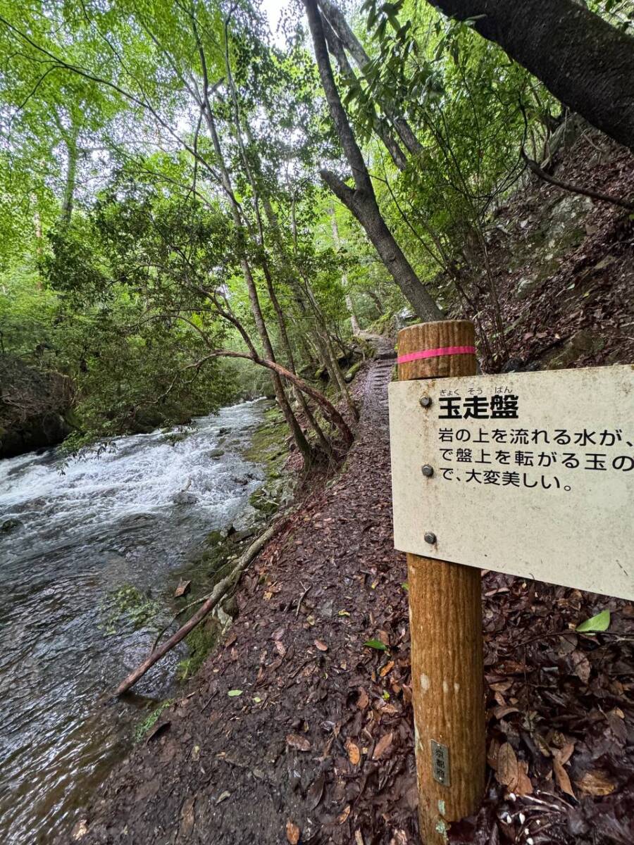 【登山日記】大阪北摂最高峰の深山。川も山も楽しめるハイキングコース。