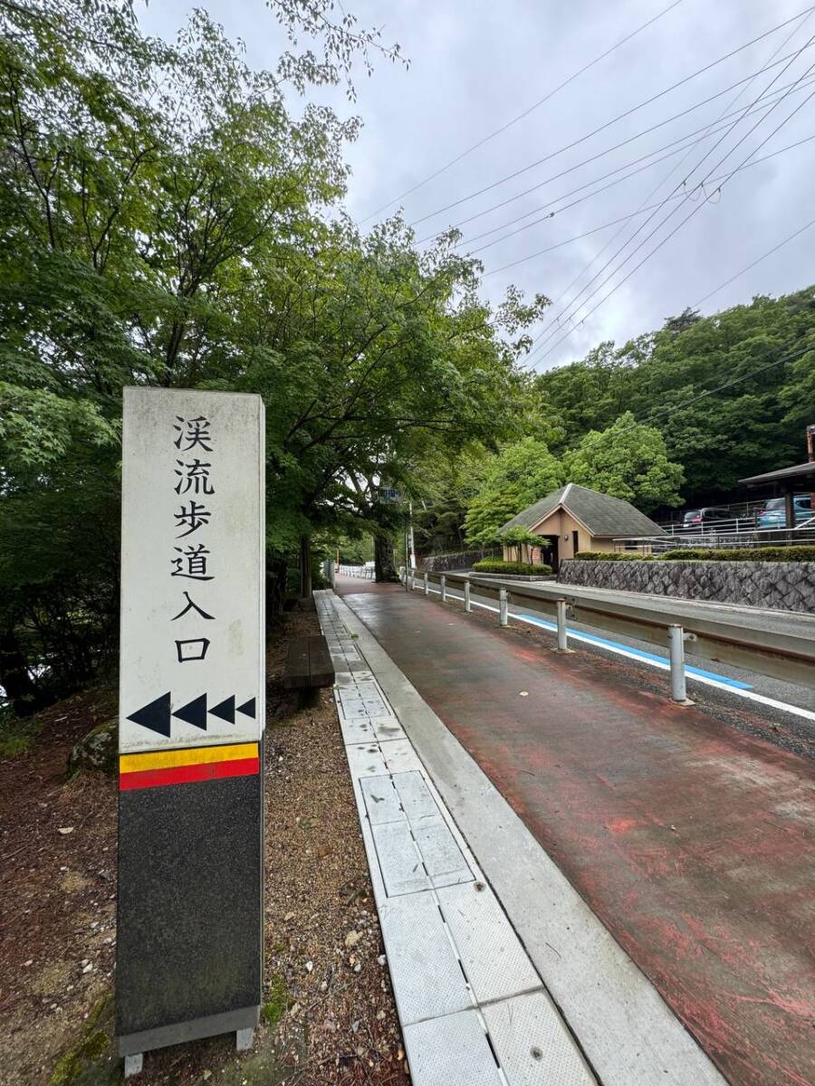 【登山日記】大阪北摂最高峰の深山。川も山も楽しめるハイキングコース。