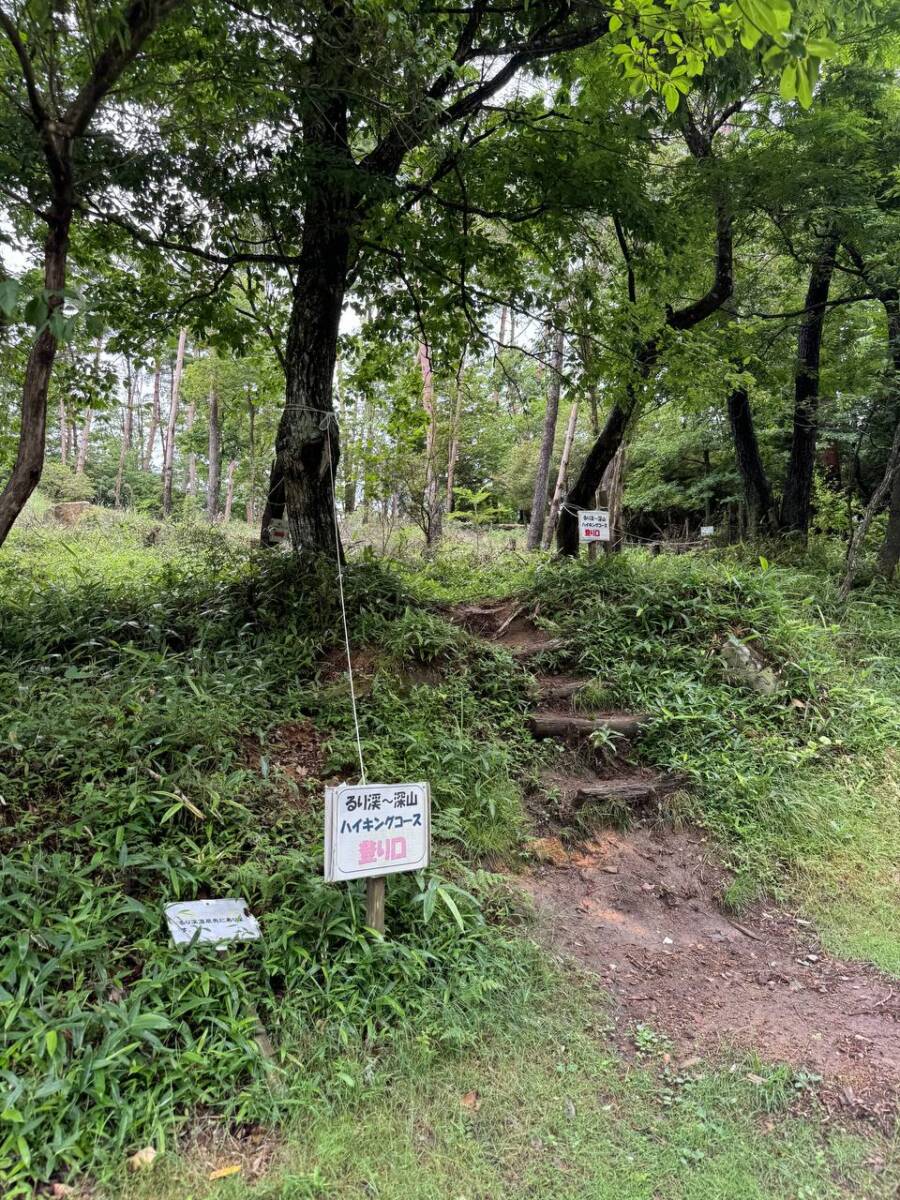 【登山日記】大阪北摂最高峰の深山。川も山も楽しめるハイキングコース。