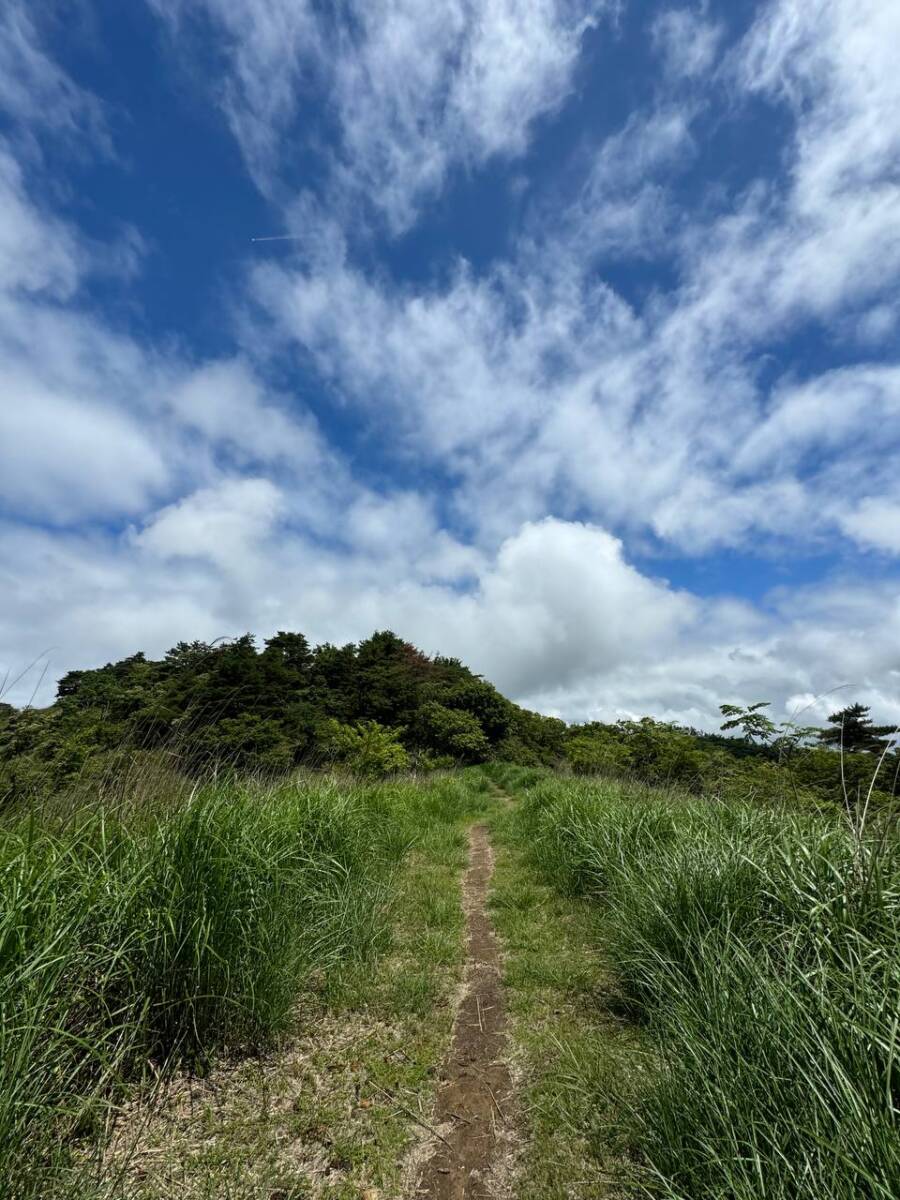 【登山日記】大阪北摂最高峰の深山。川も山も楽しめるハイキングコース。