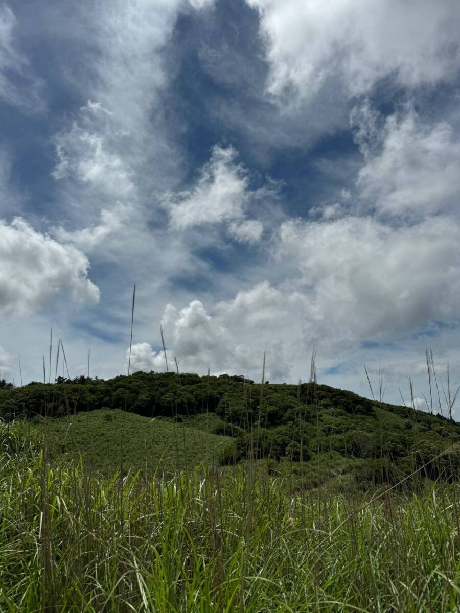 【登山日記】大阪北摂最高峰の深山。川も山も楽しめるハイキングコース。