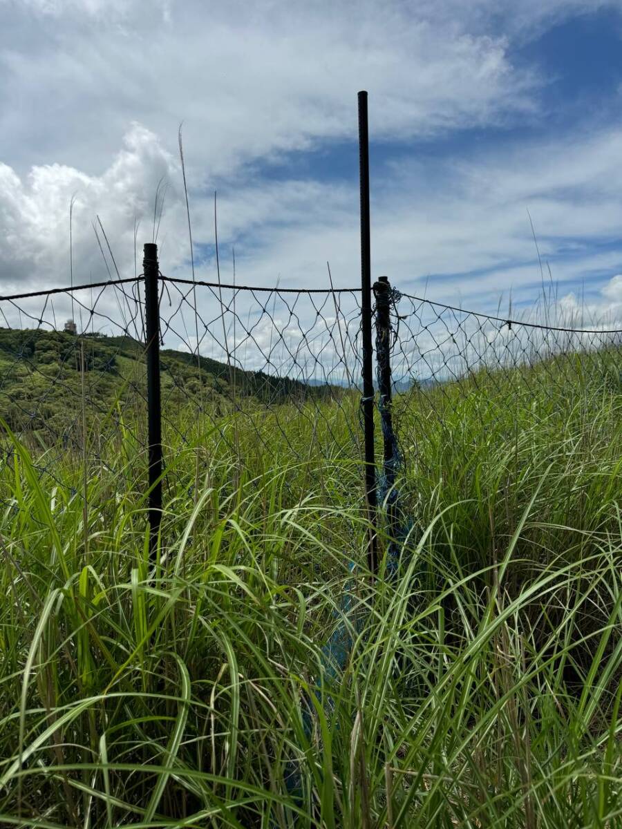 【登山日記】大阪北摂最高峰の深山。川も山も楽しめるハイキングコース。