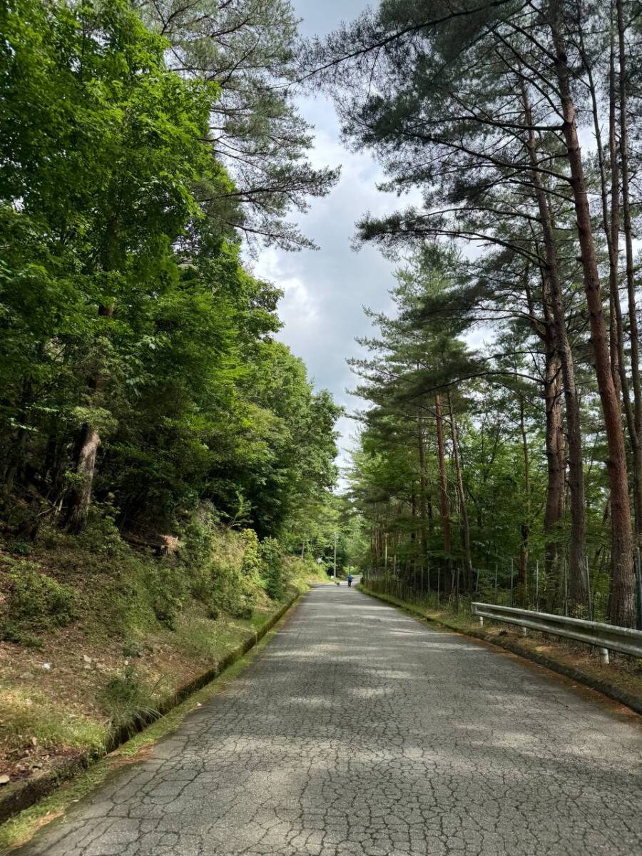 【登山日記】大阪北摂最高峰の深山。川も山も楽しめるハイキングコース。