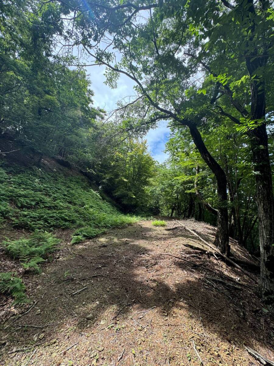 【登山日記】大阪北摂最高峰の深山。川も山も楽しめるハイキングコース。