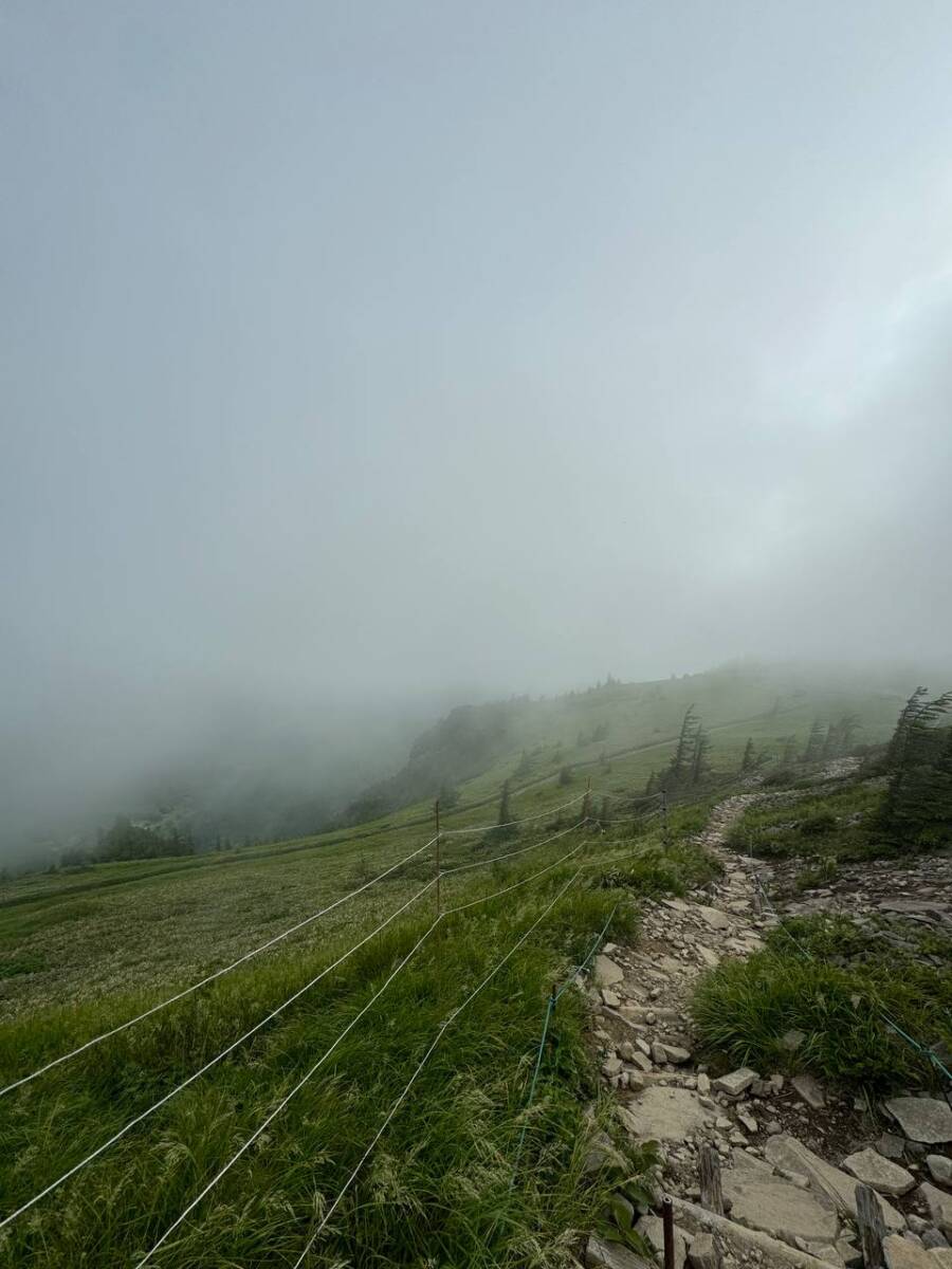 日本百名山「美ヶ原」美しい高原・絶景が広がる場所でした