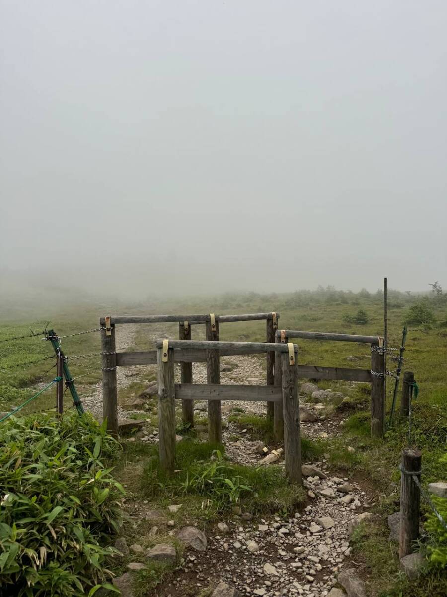 日本百名山「美ヶ原」美しい高原・絶景が広がる場所でした