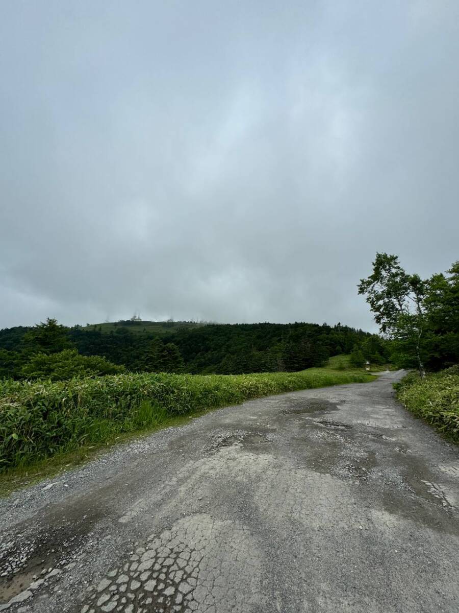 日本百名山「美ヶ原」美しい高原・絶景が広がる場所でした