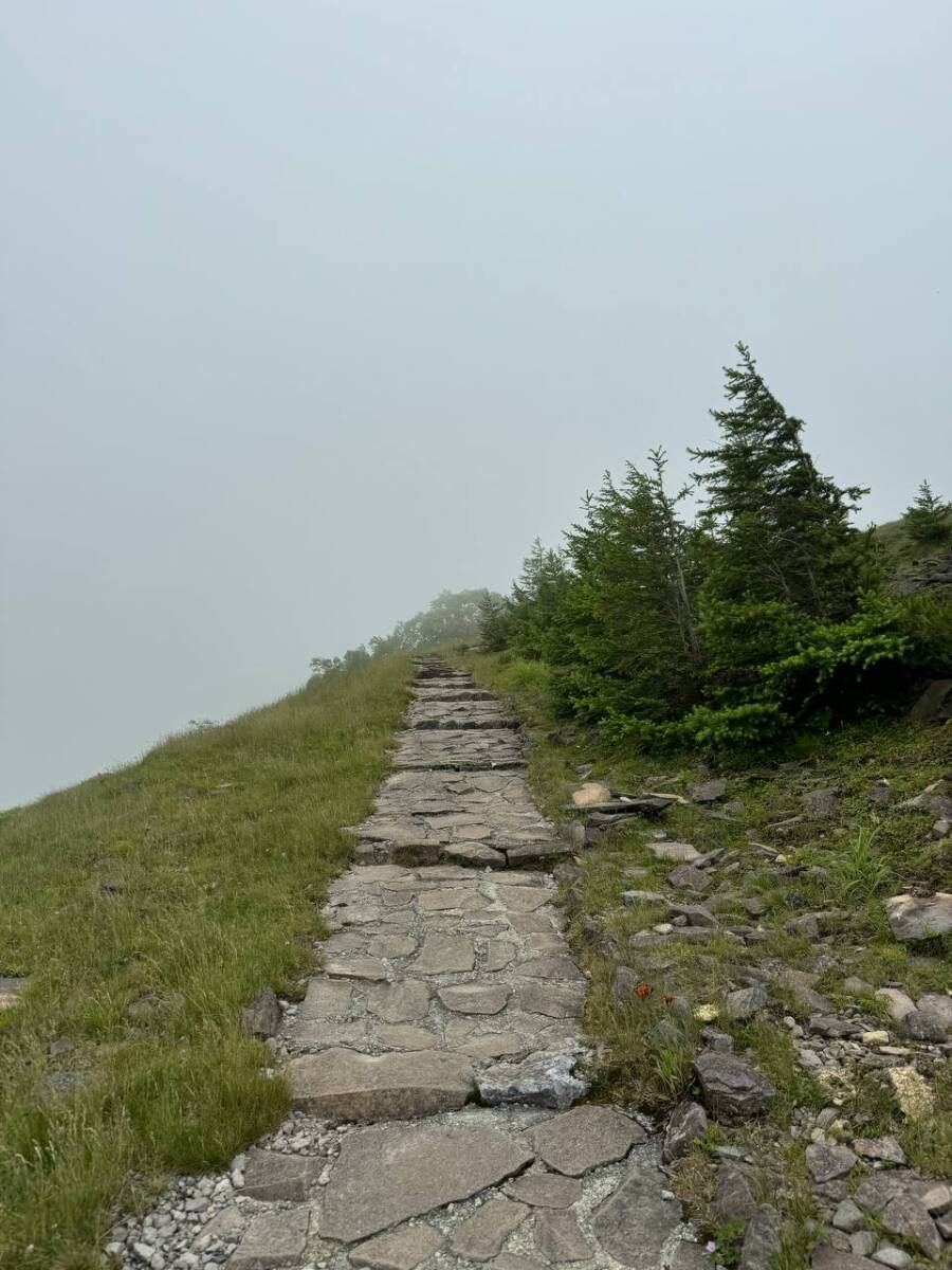 日本百名山「美ヶ原」美しい高原・絶景が広がる場所でした