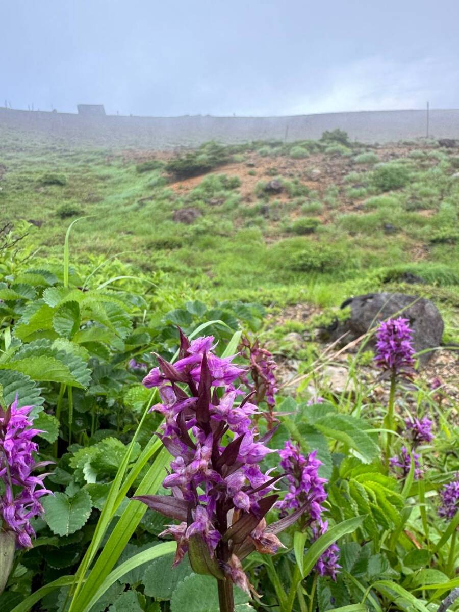 【登山活動】日本百名山「蔵王山」雄大過ぎる光景に驚く山