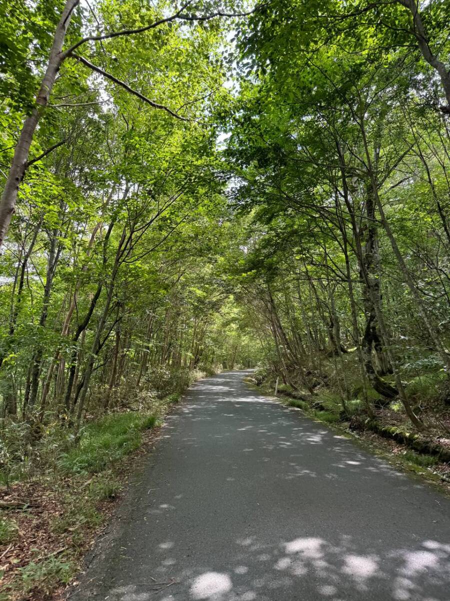 日本百名山の岩手県「早池峰山」は絶景広がる広大な景色