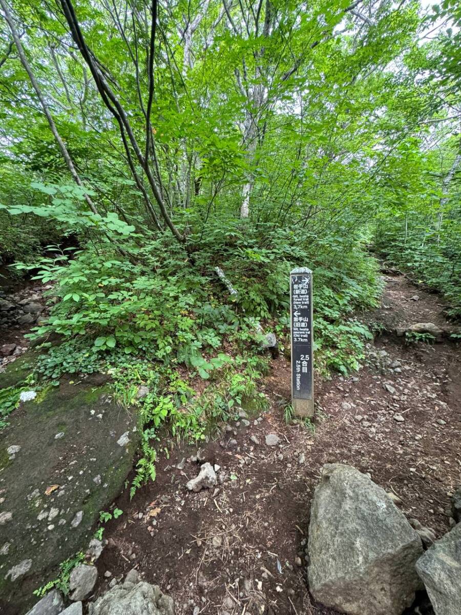 日本百名山「岩手山」大迫力の火口・長い登山道に色んな景色が見れる