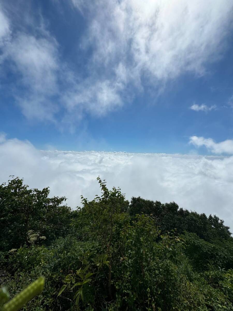 日本百名山「岩手山」大迫力の火口・長い登山道に色んな景色が見れる