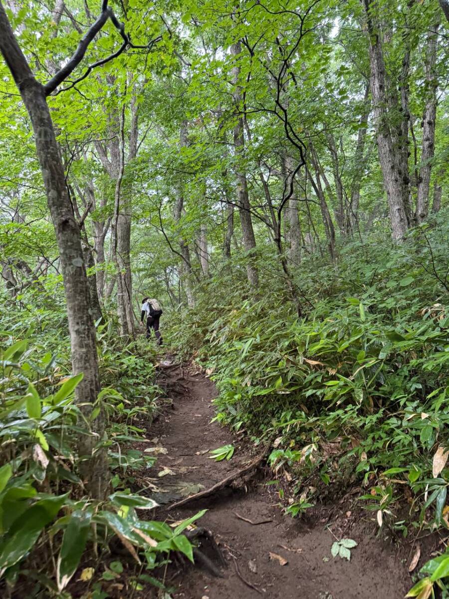 日本百名山「岩手山」大迫力の火口・長い登山道に色んな景色が見れる