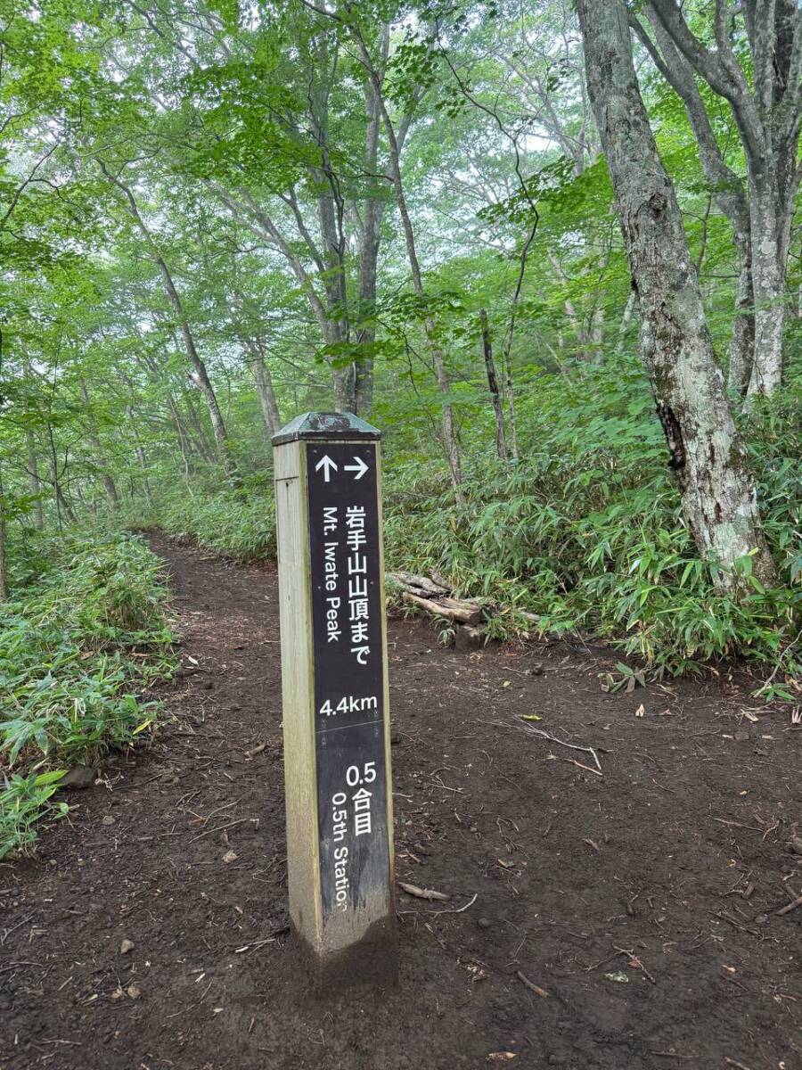 日本百名山「岩手山」大迫力の火口・長い登山道に色んな景色が見れる