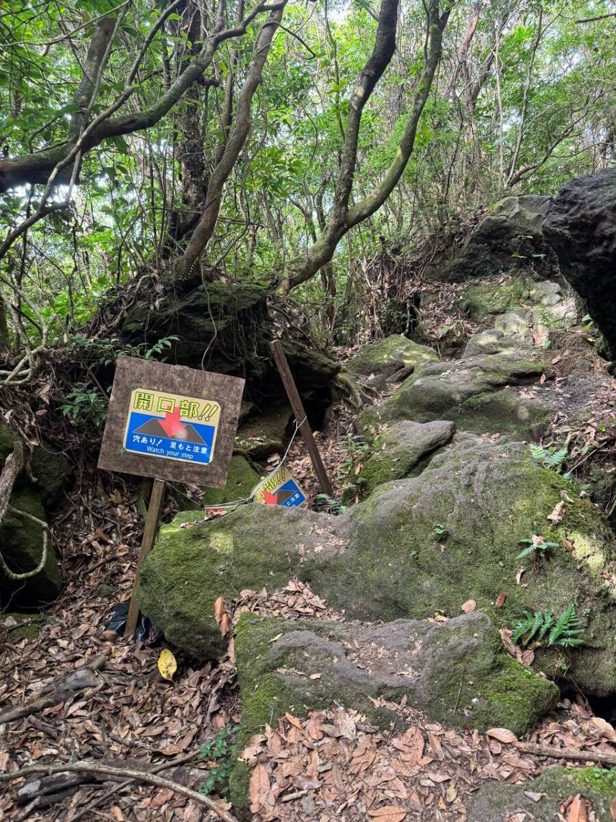 美しすぎる円錐形の山容の「開聞岳」グルッと山頂まで登りました