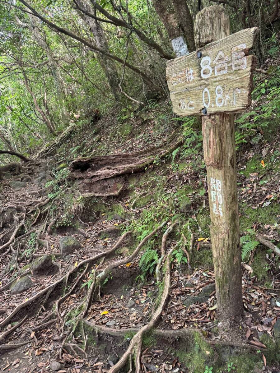 美しすぎる円錐形の山容の「開聞岳」グルッと山頂まで登りました