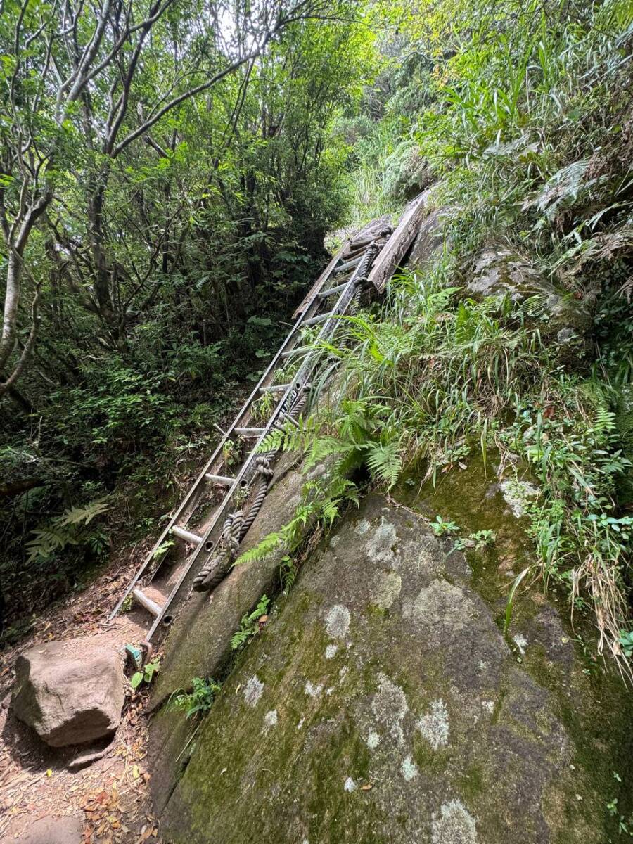 美しすぎる円錐形の山容の「開聞岳」グルッと山頂まで登りました