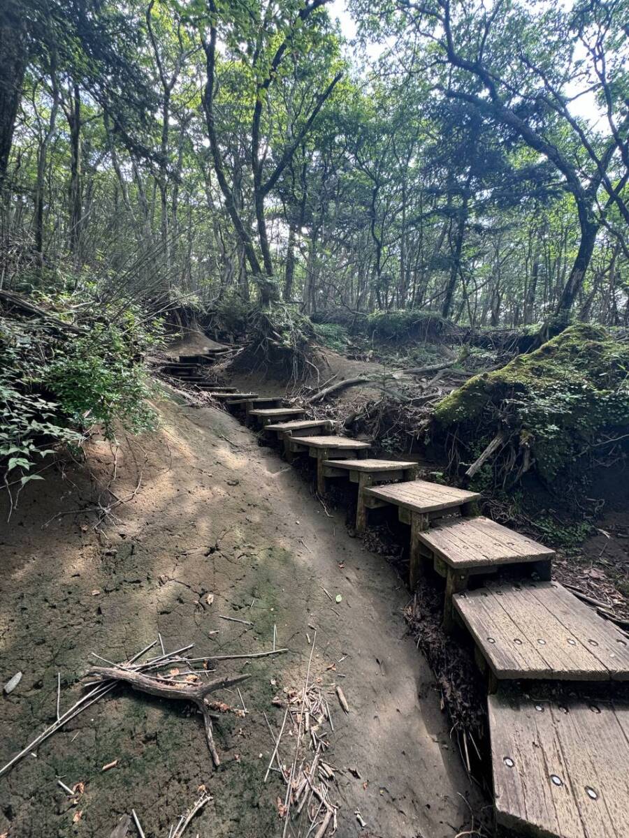 何もかもが大スケールな光景が見れる百名山『韓国岳』