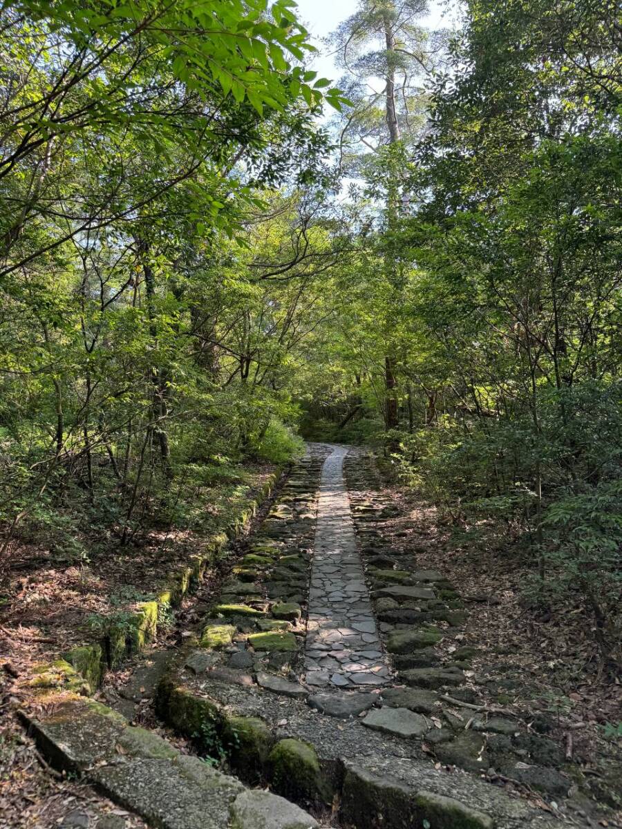 何もかもが大スケールな光景が見れる百名山『韓国岳』