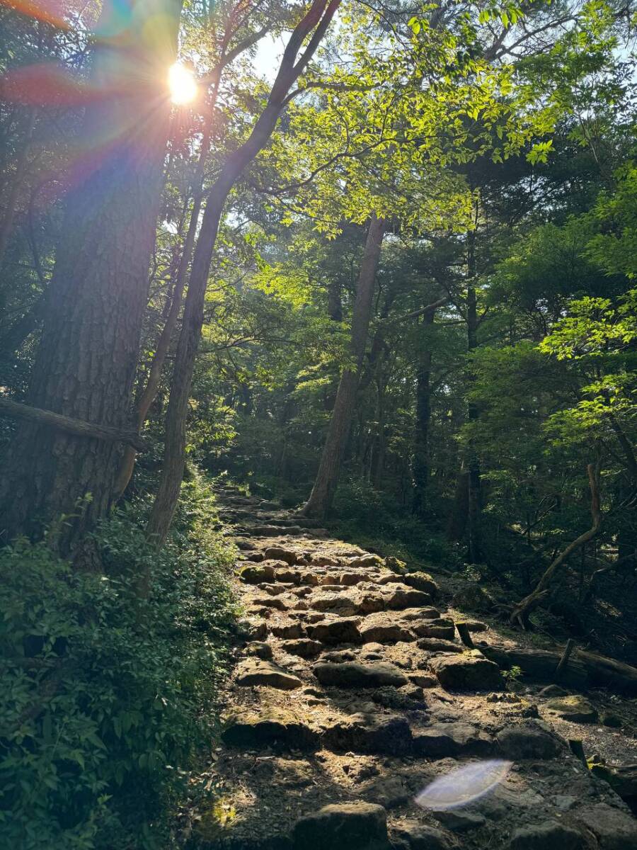 何もかもが大スケールな光景が見れる百名山『韓国岳』