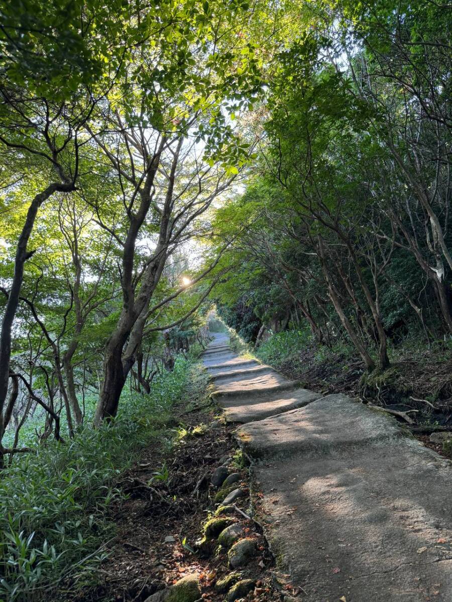 壮大な光景が広がるくじゅう連山の主峰「久住山」は火山と草原が広がる景色