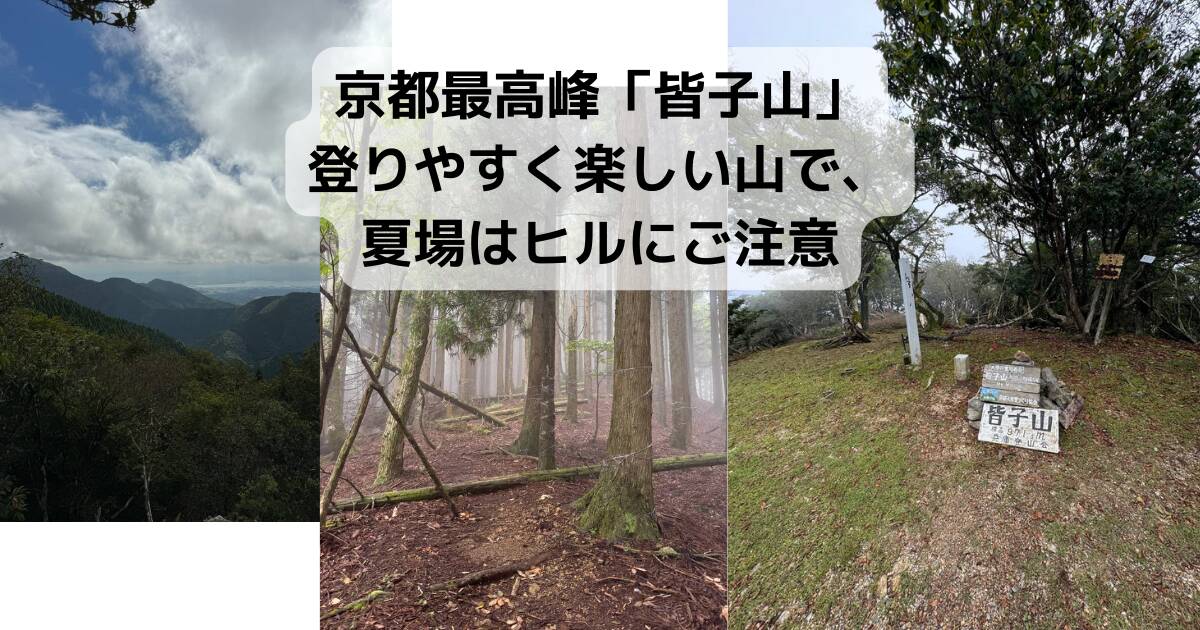 京都最高峰「皆子山」登りやすく楽しい山で、夏場はヒルにご注意