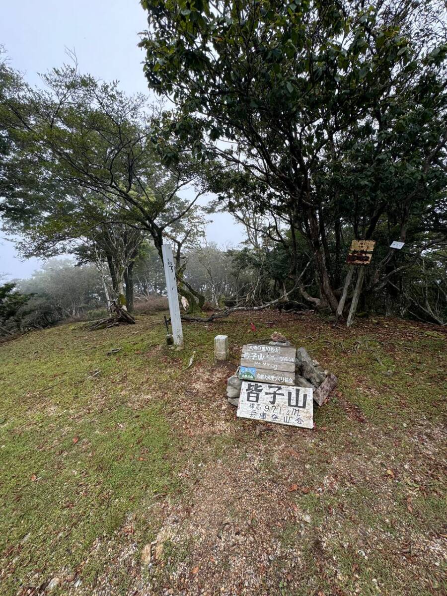 京都最高峰「皆子山」登りやすく楽しい山で、夏場はヒルにご注意