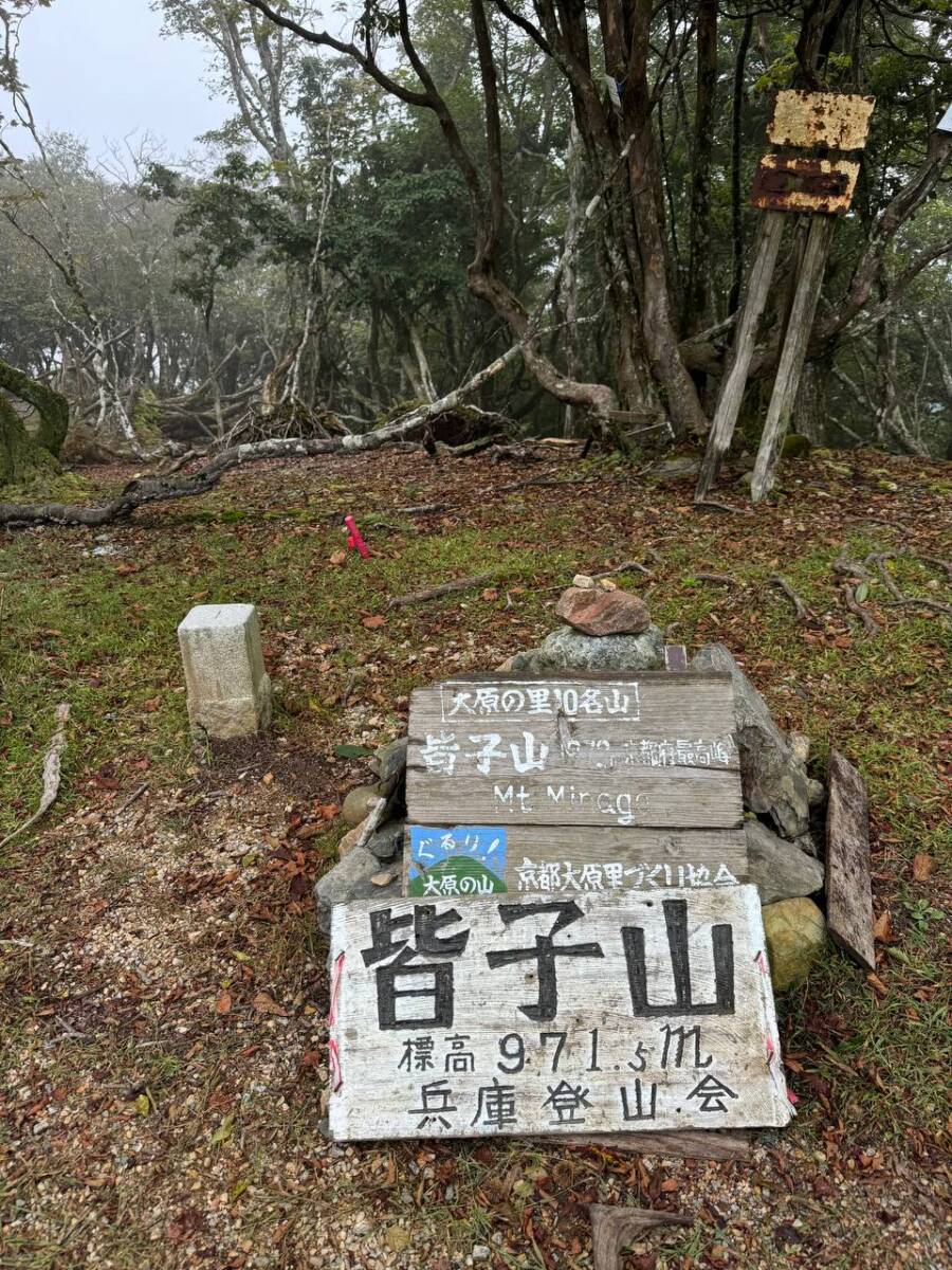 京都最高峰「皆子山」登りやすく楽しい山で、夏場はヒルにご注意