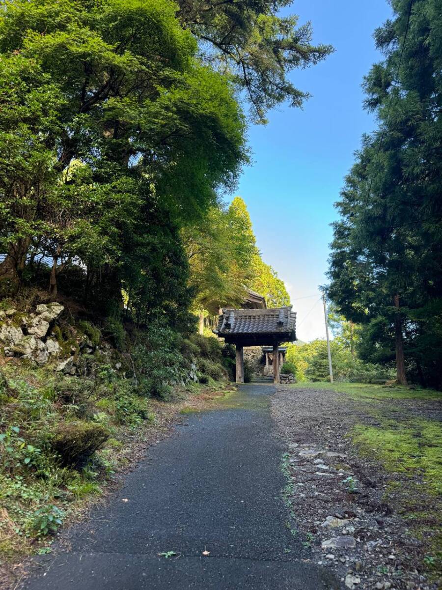 京都最高峰「皆子山」登りやすく楽しい山で、夏場はヒルにご注意