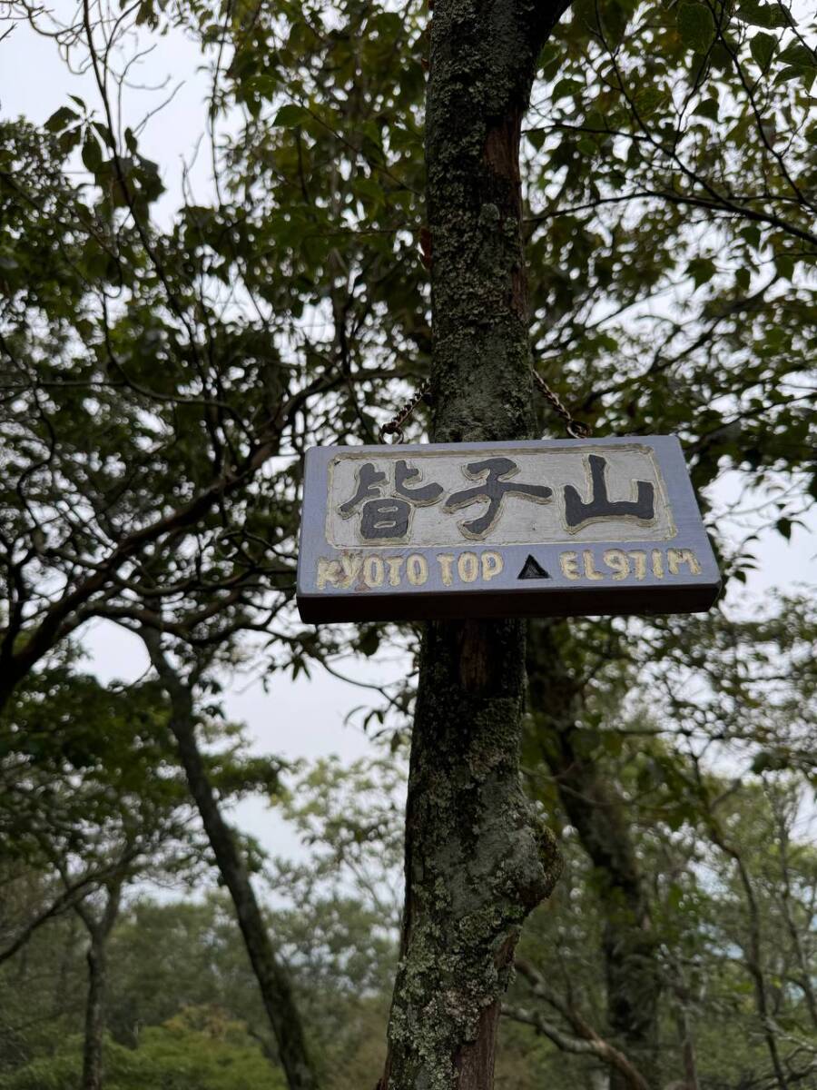 京都最高峰「皆子山」登りやすく楽しい山で、夏場はヒルにご注意