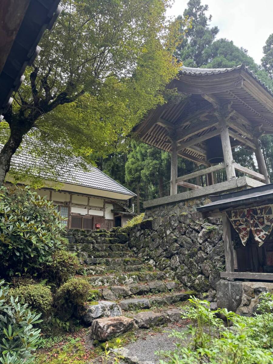 京都最高峰「皆子山」登りやすく楽しい山で、夏場はヒルにご注意