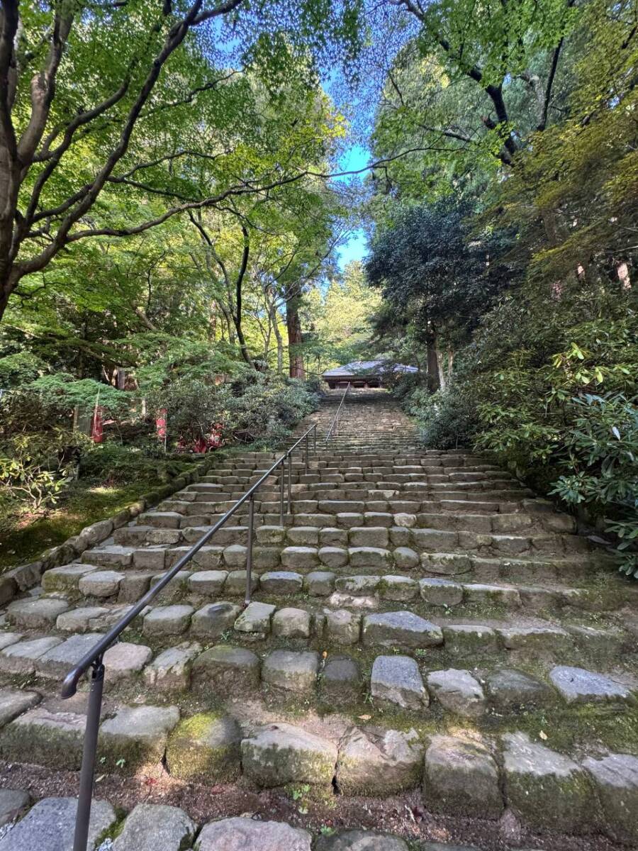 女人高野と呼ばれる室生寺、平安初期から変わらぬ光景が見れた登山