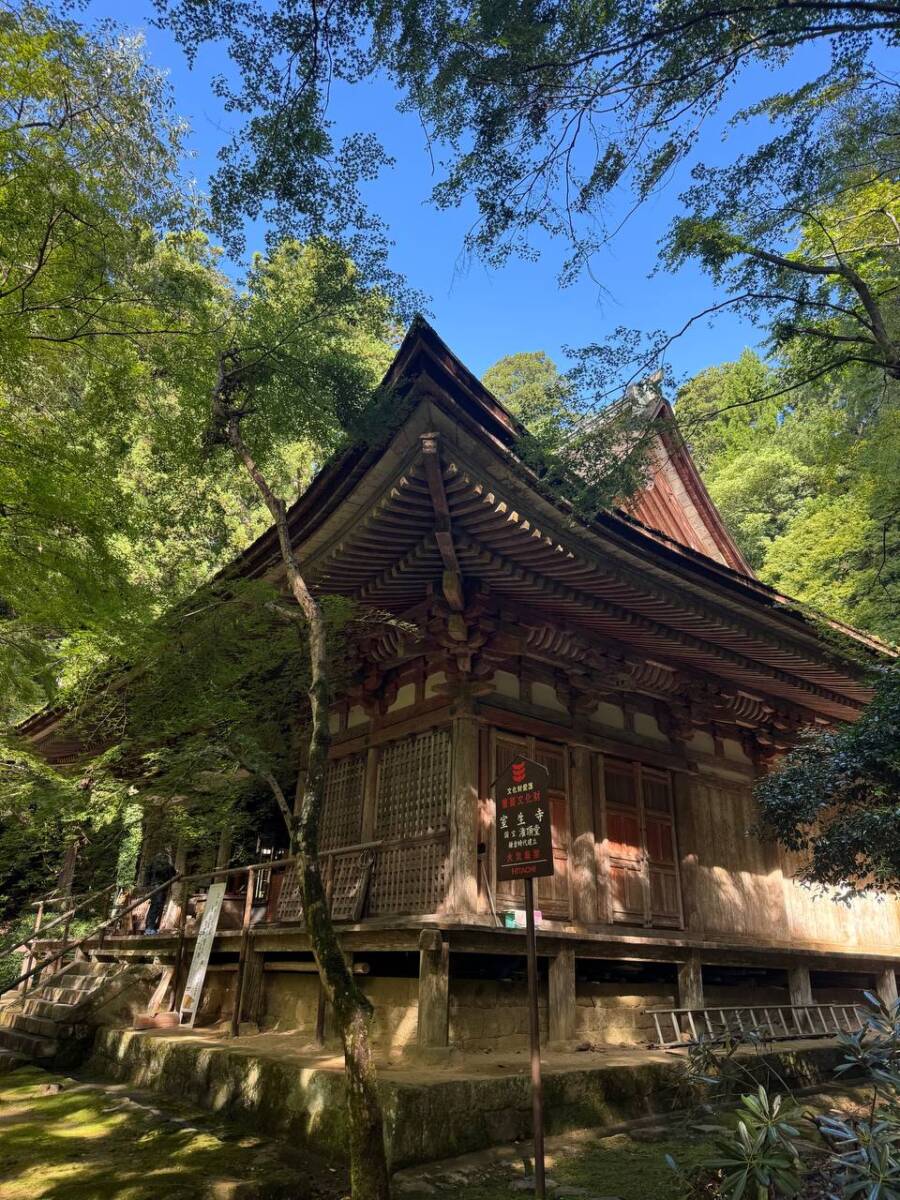 女人高野と呼ばれる室生寺、平安初期から変わらぬ光景が見れた登山