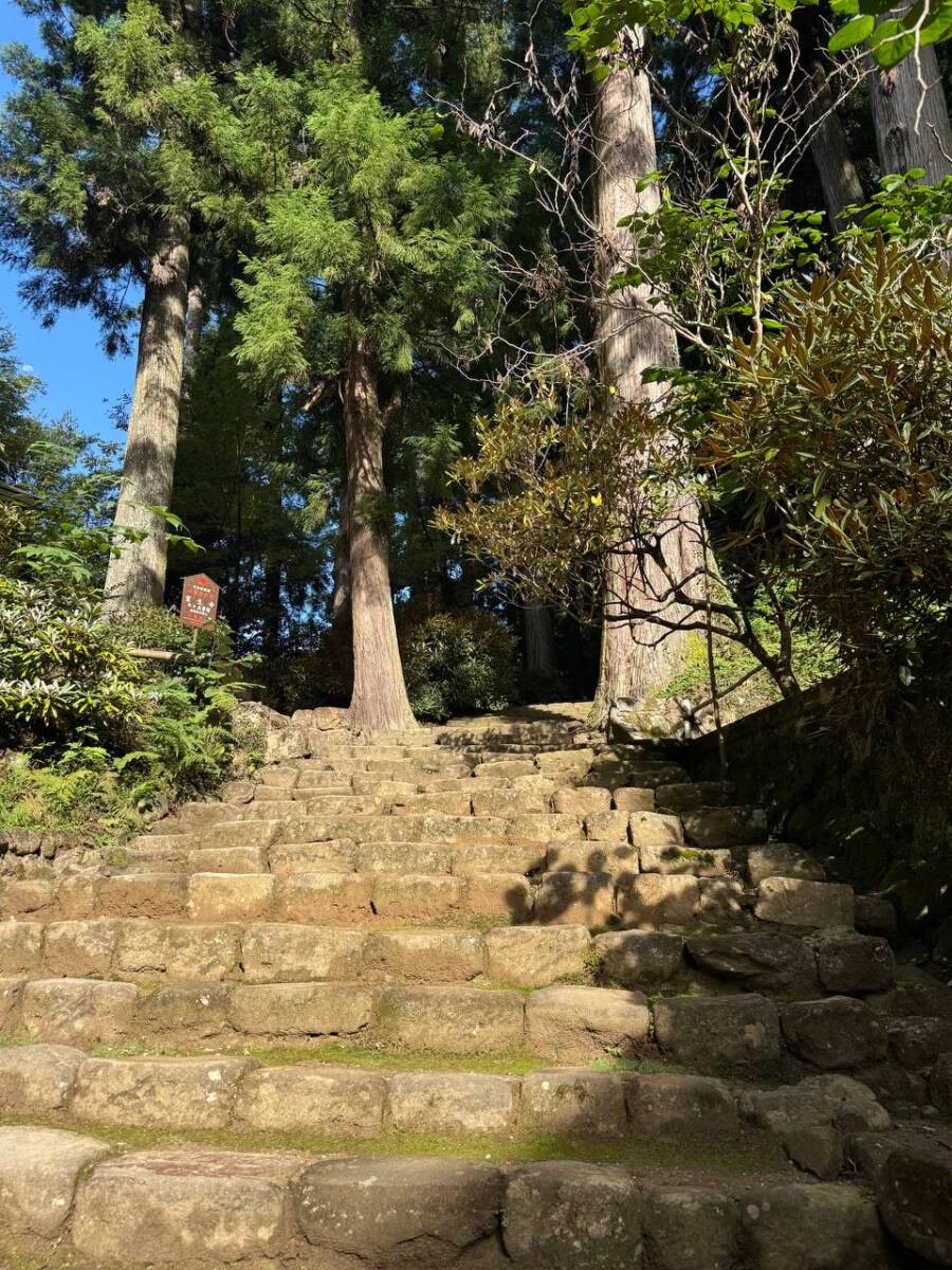 女人高野と呼ばれる室生寺、平安初期から変わらぬ光景が見れた登山