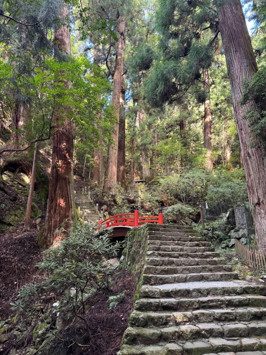 女人高野と呼ばれる室生寺、平安初期から変わらぬ光景が見れた登山