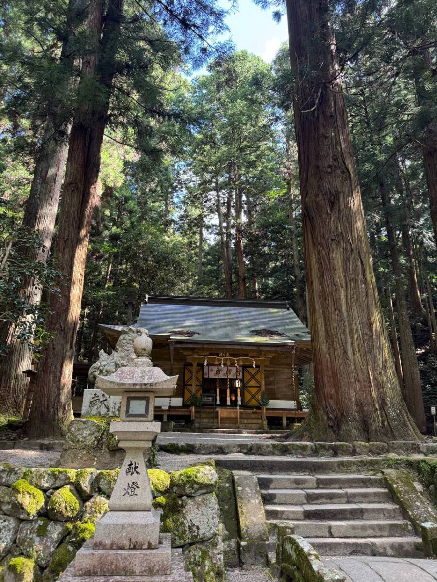 女人高野と呼ばれる室生寺、平安初期から変わらぬ光景が見れた登山