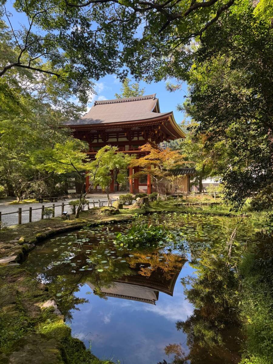 女人高野と呼ばれる室生寺、平安初期から変わらぬ光景が見れた登山